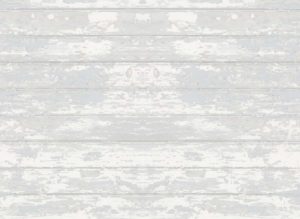 fondo_1