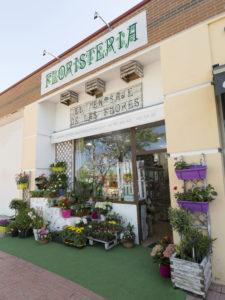 panorama_tienda_fuera