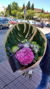 ramos_servicios