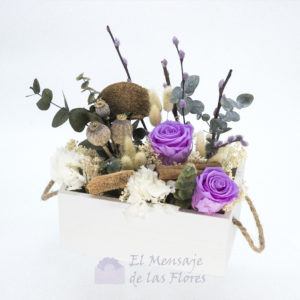 img_centro_preservado_morado_223