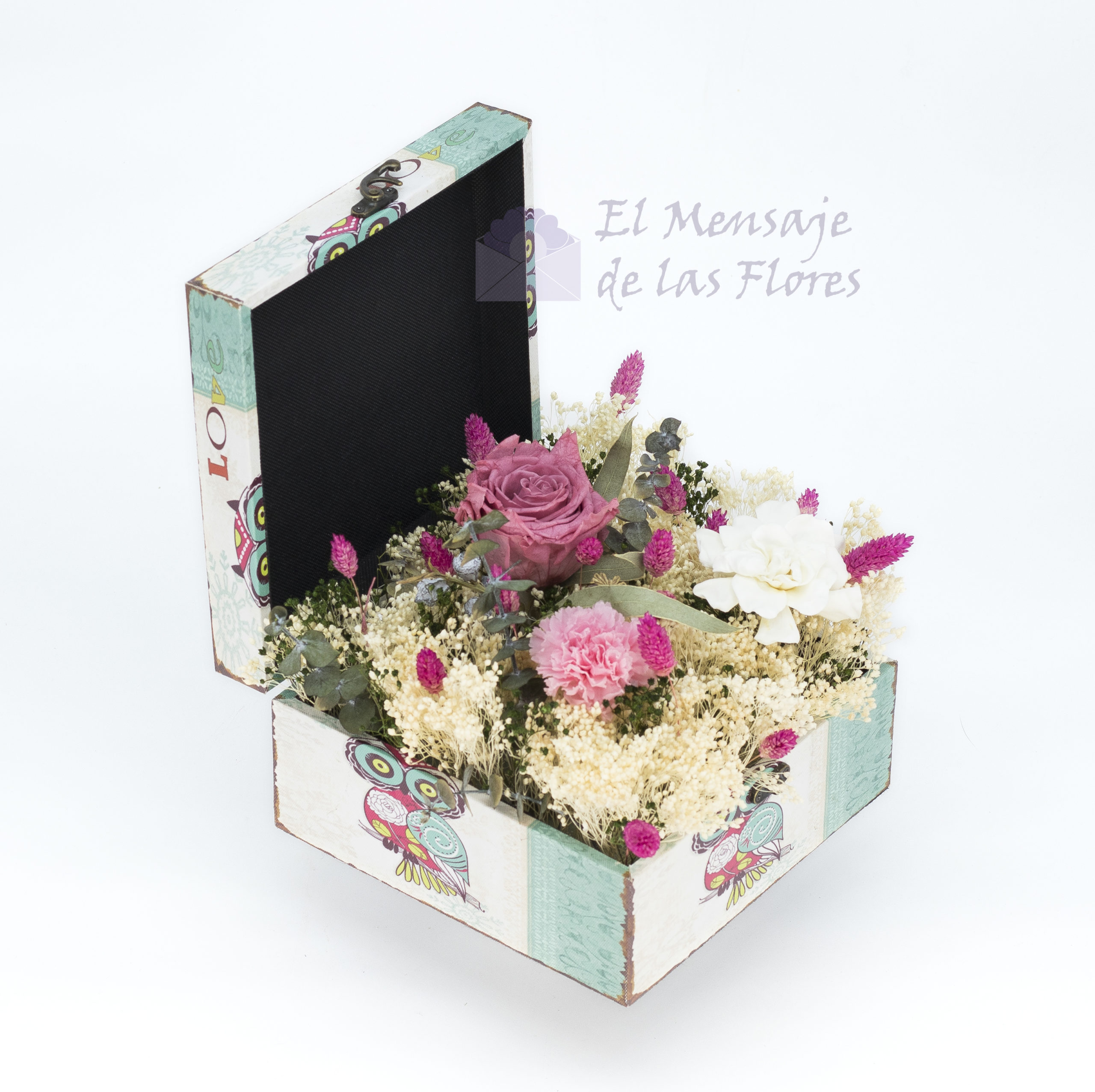 img_centro_preservado