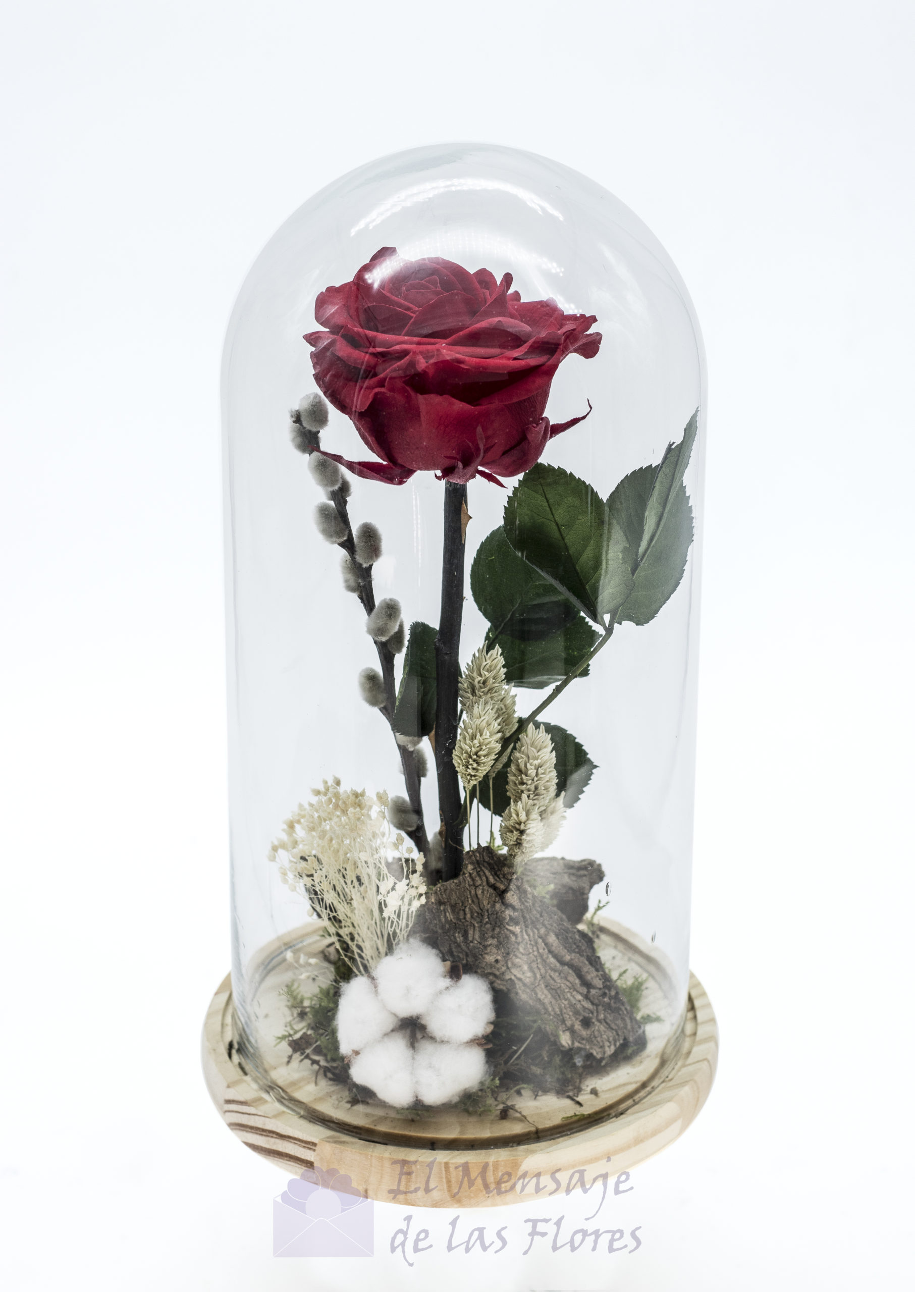 rosa_encantada_roja_1