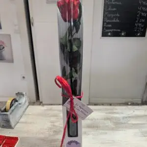 ROSA ETERNA